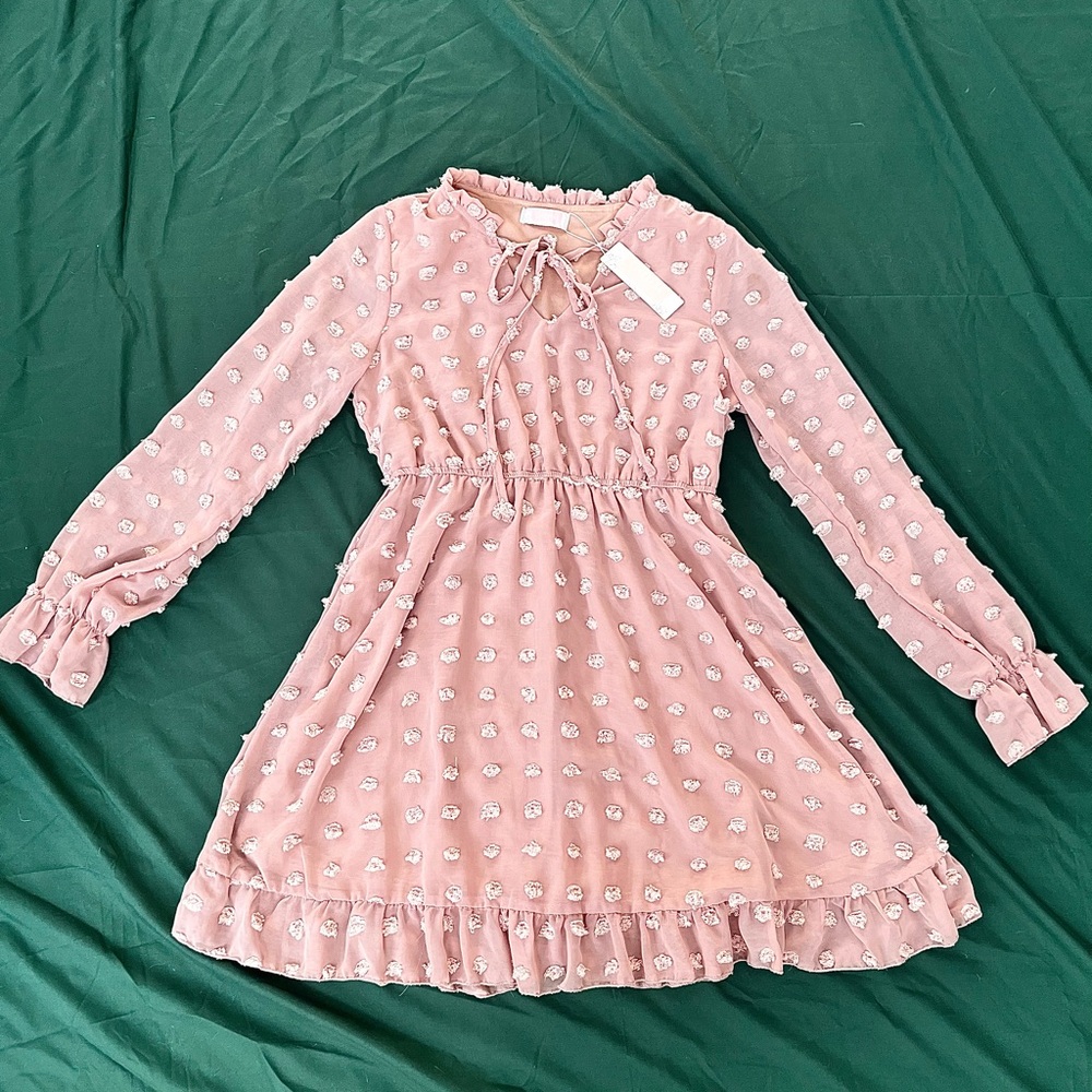 NWT Mauve Pink Women’s Dress